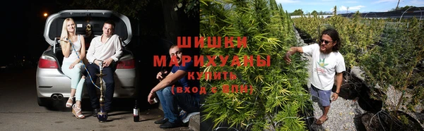 альфа пвп Новодвинск