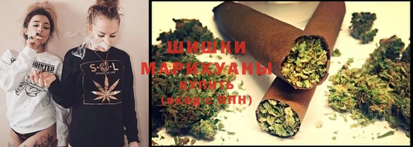 альфа пвп Новодвинск