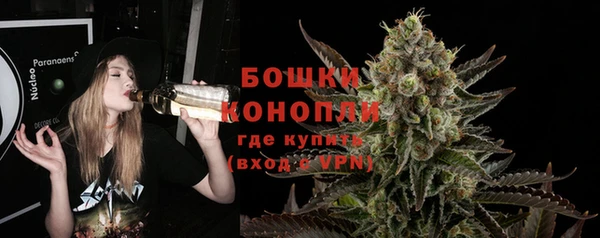 альфа пвп Новодвинск
